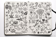 103 Erlinda Hand Drawn Elements, a Decorative Illustration by Revoltan Studios (Thumbnail 2 of 2)