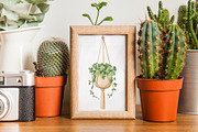 Watercolor Houseplants Clipart, an Object Illustration by ArtGiftsStudio (Thumbnail 3 of 5)
