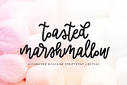Toasted Marshmallow, a Script Font by Olio Design (Thumbnail 1 of 10)