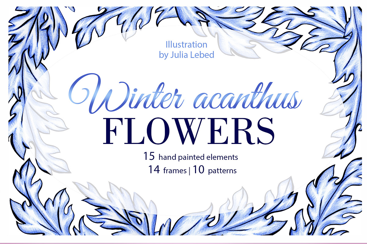 Winter acanthus Flowers, a Decorative Illustration by L- design studio (Photo 1 of 7)