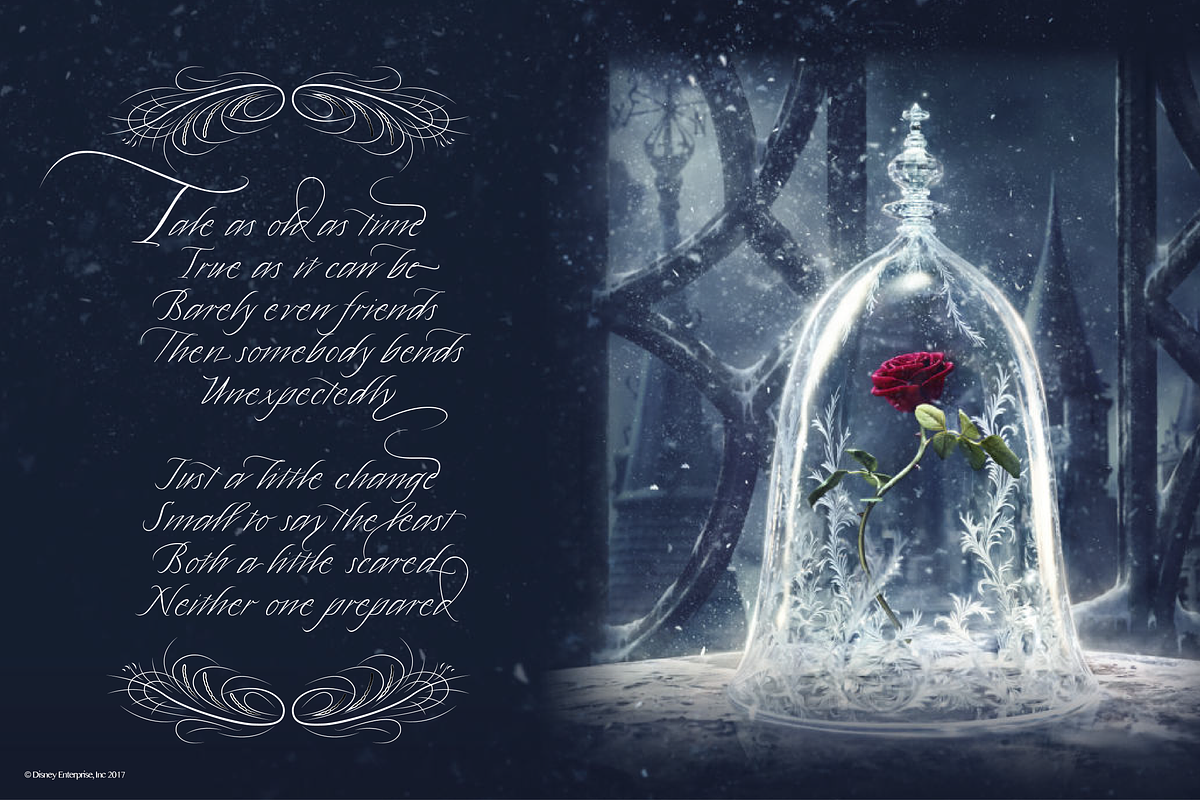 Quinton Script Font preview 6