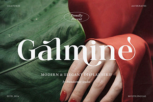 Galmine - Modern & Elegant Serif, a Serif Font by BrandSemut