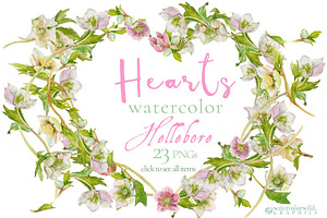 Hearts-watercolor-Hellebore