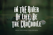 Branid Elegant Serif Font Typeface, a Serif Font by Perfectype (Thumbnail 5 of 6)