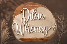 Dilan Whemsy - Modern Script Font