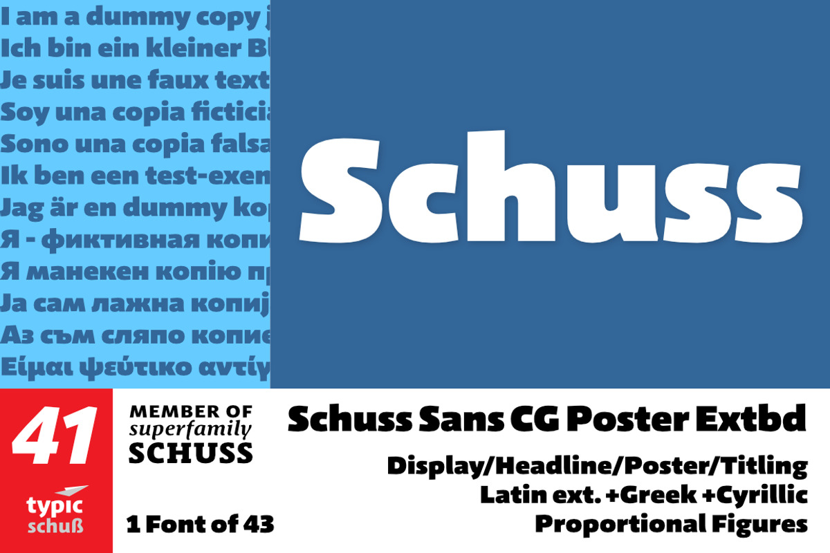 Schuss Sans CG Poster Extrabold, a Sans Serif Font by typic schuss (Photo 15 of 15)