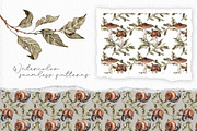 Forest plants and snails watercolor, an Illustration by Alamella (Thumbnail 4 of 7)