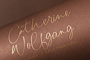 Houstonfield//Modern Script Font, a Handwritten Font by PeachCreme (Thumbnail 4 of 13)