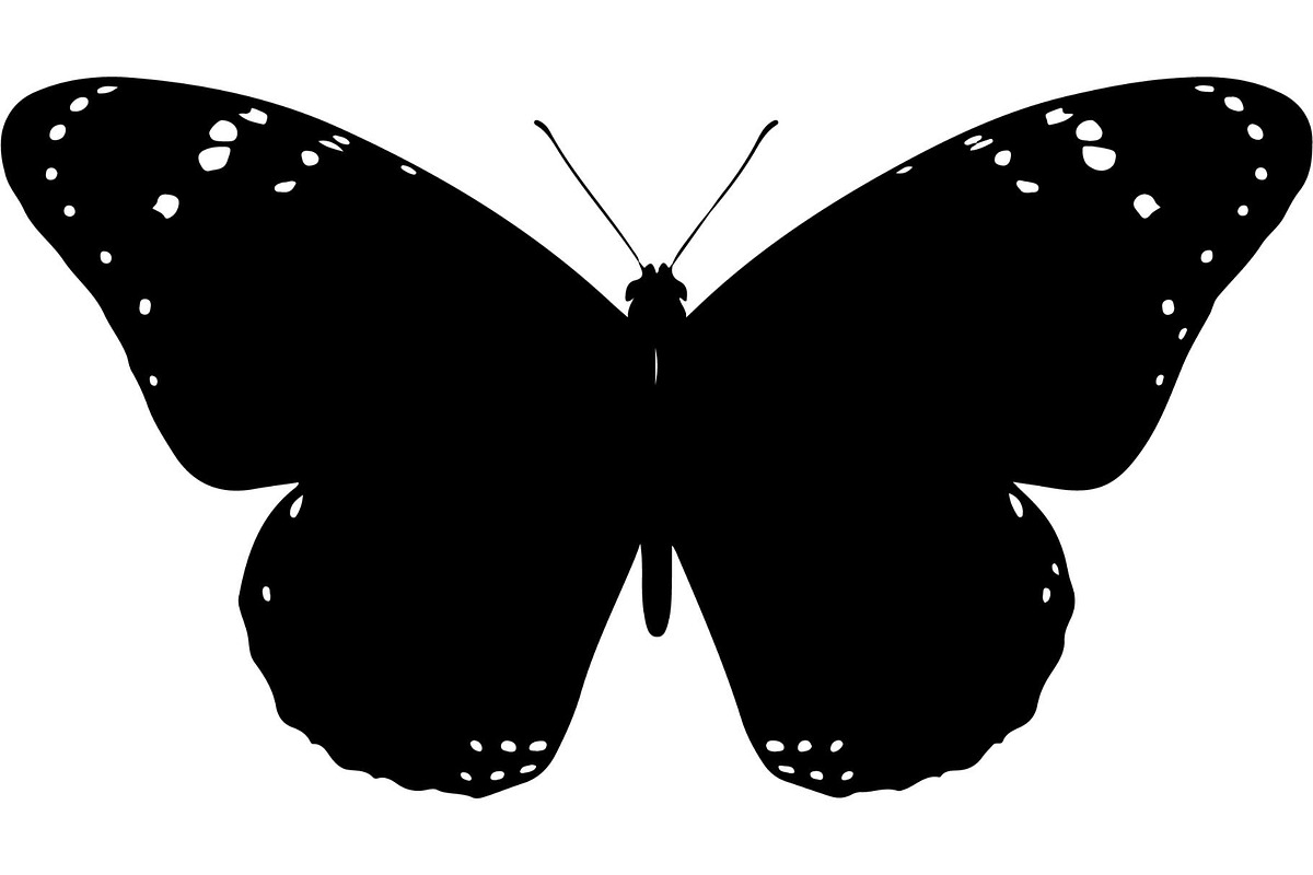 Butterfly Silhouette Bundle, an Object Graphic by Designer_Momina (Photo 17 of 20)