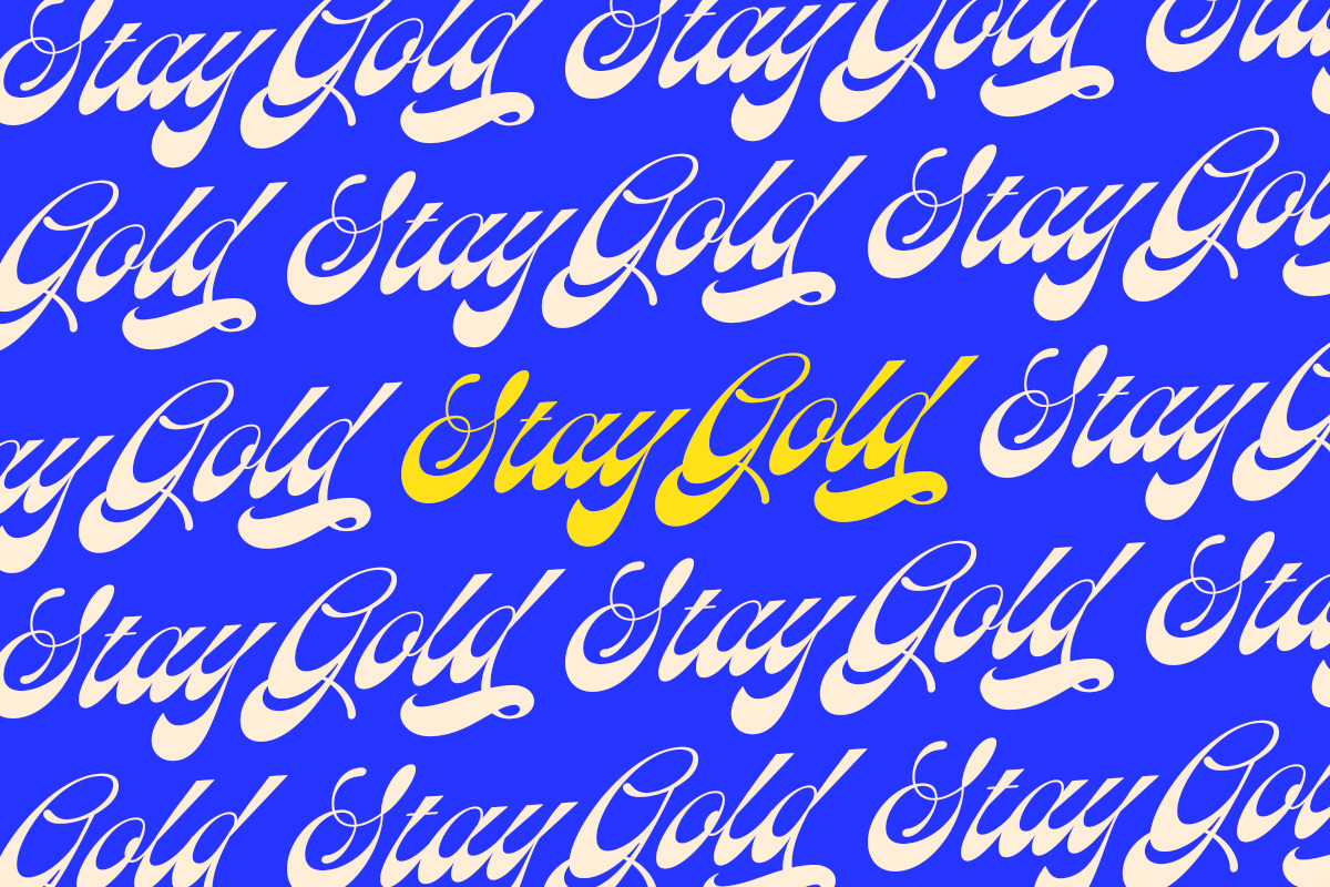 Calgarist Script, a Script Font by IronbirdCreative (Photo 2 of 14)