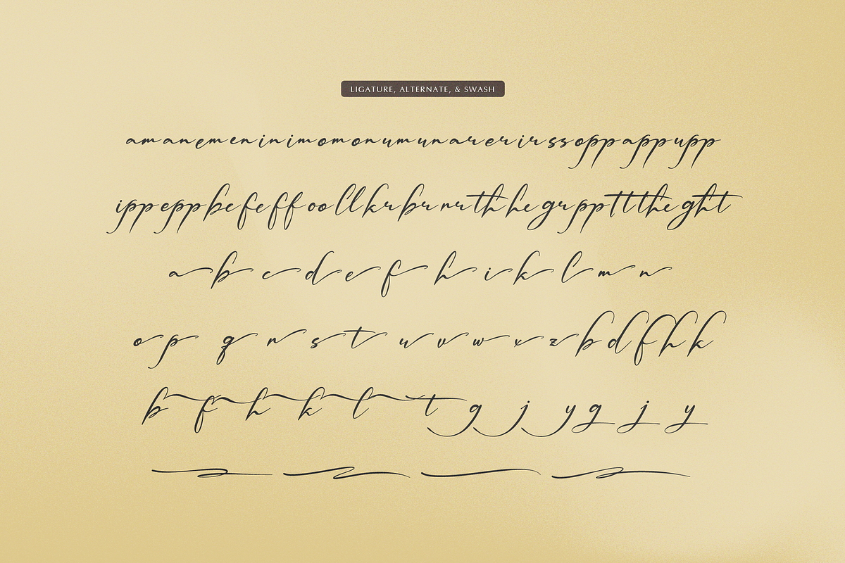 Palmintte | Handwritten Script, a Script Font by gracetype_studio (Photo 11 of 12)