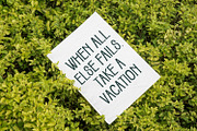 Hollien Stamp Sans Serif, a Sans Serif Font by Maulana Creative (Thumbnail 8 of 8)