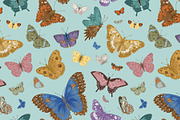 Wild Roses, a Decorative Illustration by olga.korneeva (Thumbnail 14 of 24)