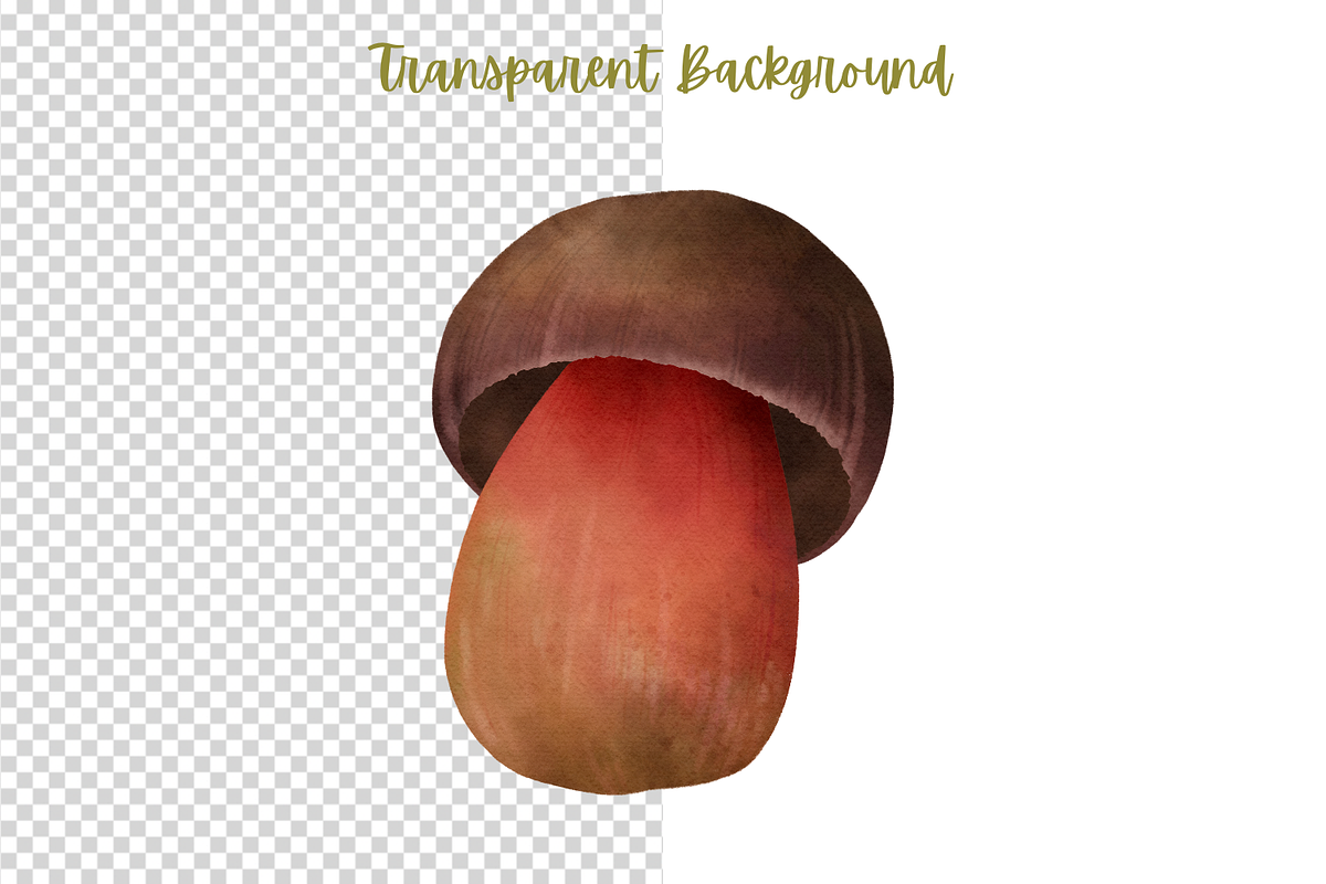 Mushroom Forest watercolor clipart, a Decorative Illustration by AkiraVilla (Photo 7 of 11)