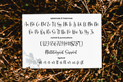 Cristalake, a Script Font by Essentials Studio (Thumbnail 8 of 9)