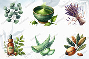 Botanical Wellness Watercolor Clipar, a Graphic by designcity5 (Thumbnail 3 of 5)