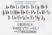 Daisy Calligraphy, a Handwritten Font by FreshTypeINK (Thumbnail 3 of 8)