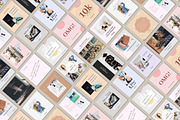 Online Shop Template PS CANVA, a Social Media Template by goodesign (Thumbnail 2 of 9)