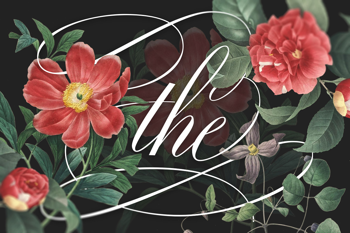 Fifty pre-made elements of "THE" preview 3