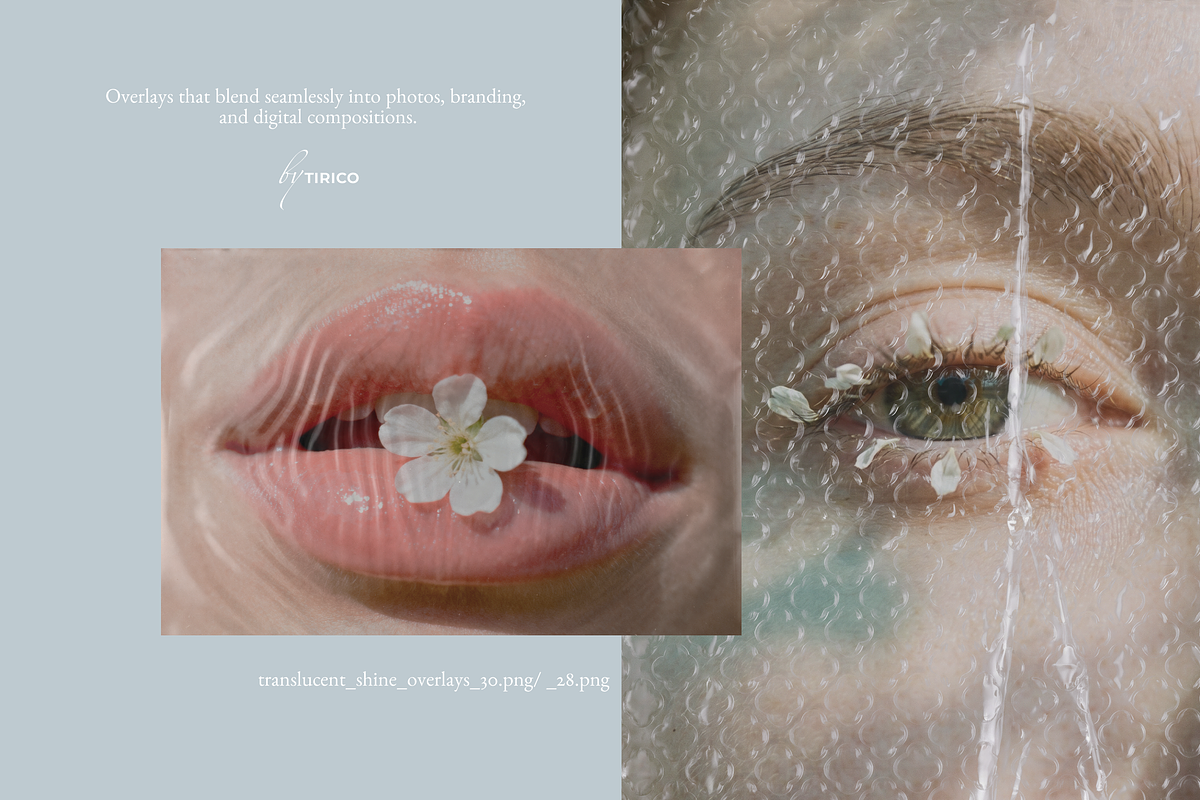 Texture Overlays Collection, an Object Graphic by TiriCo (Photo 9 of 14)