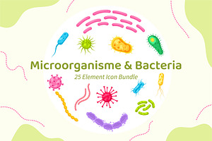 Microorganisms and Bacteria Bundle, an Object Graphic by Artnivora.Std