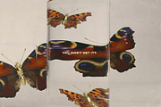 Flip Side collection, an Object Graphic by Purple (Thumbnail 3 of 10)