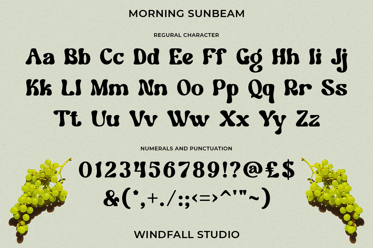 Morning Sunbeam - Retro Bold Font, a Sans Serif Font by Windfall Co (Photo 9 of 10)