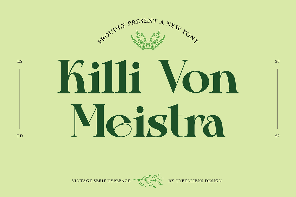Killi Von Meistra, a Serif Font by ilhamtaro (Photo 1 of 11)