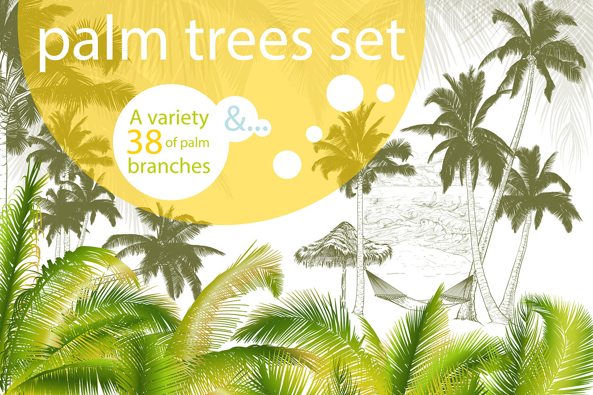 Palm tree collection (Vector), an Object Graphic by ArtOwl (Photo 1 of 10)