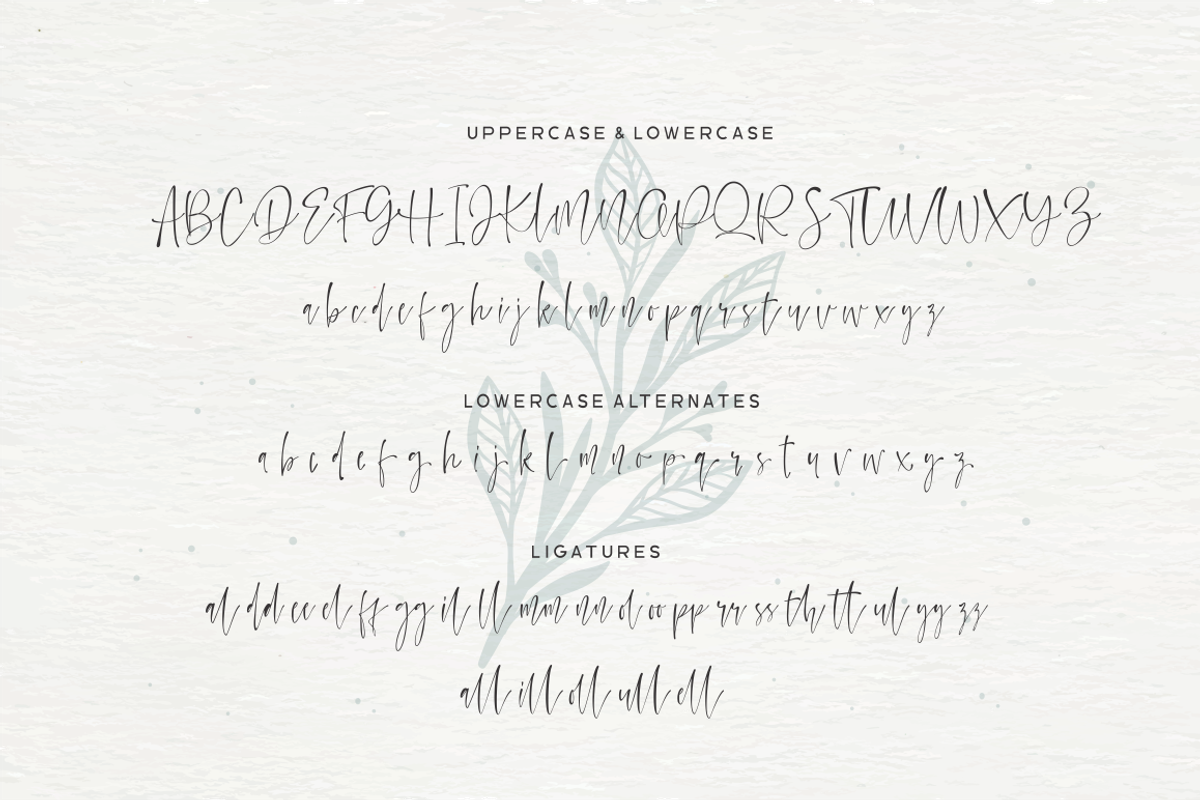 Watercoral // Natural Script Font, a Script Font by Sronstudio (Photo 9 of 9)