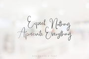 Springfield Font Duo, a Script Font by Chocotype Std (Thumbnail 7 of 12)