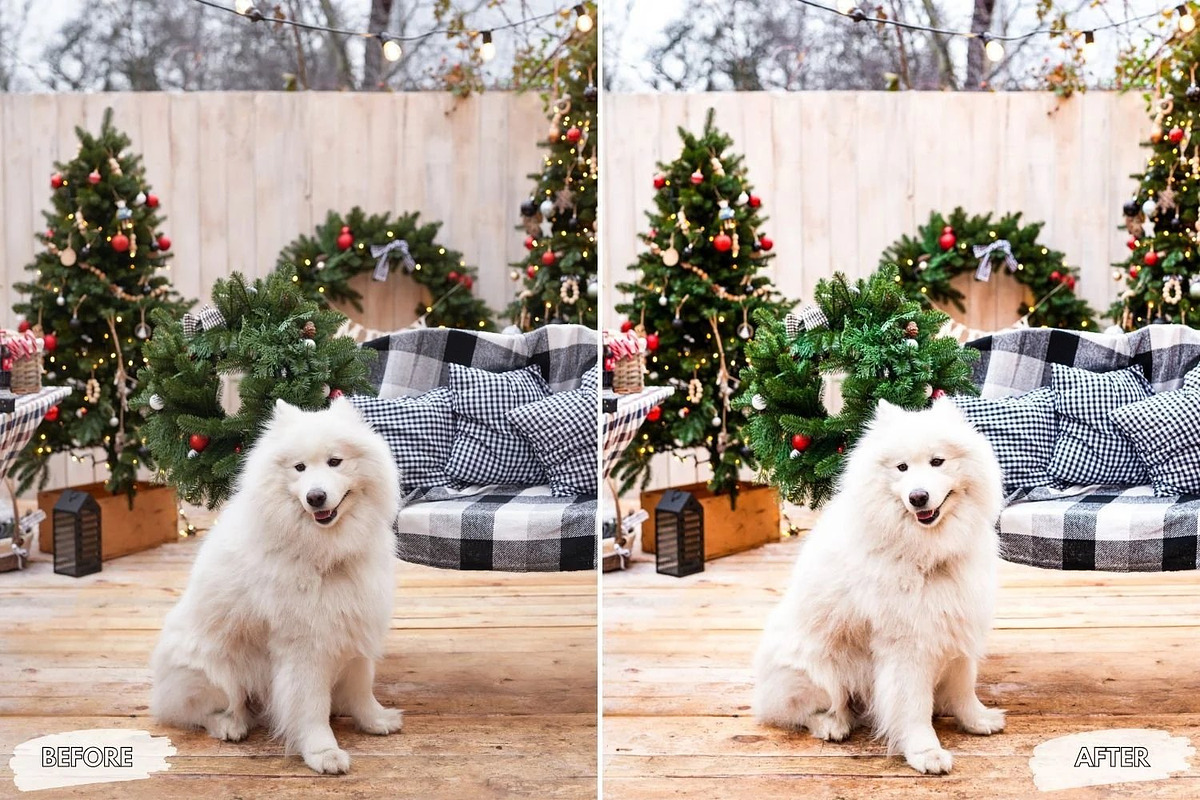 10 Frosted December Lightroom Preset, a Preset Add-On by LucaTheme (Photo 8 of 9)