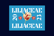Obligately Old Display Serif Font, a Serif Font by UICreative (Thumbnail 4 of 13)