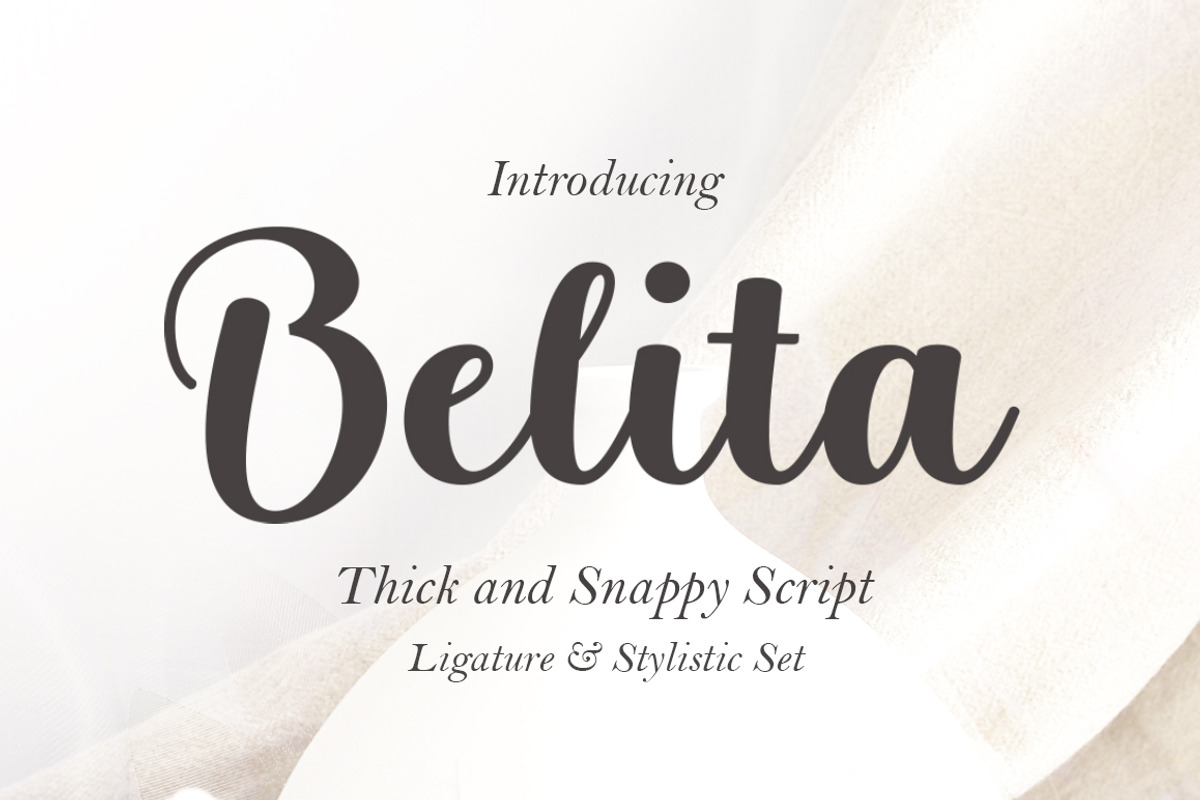 Belita, a Script Font by Gatype (Photo 1 of 9)
