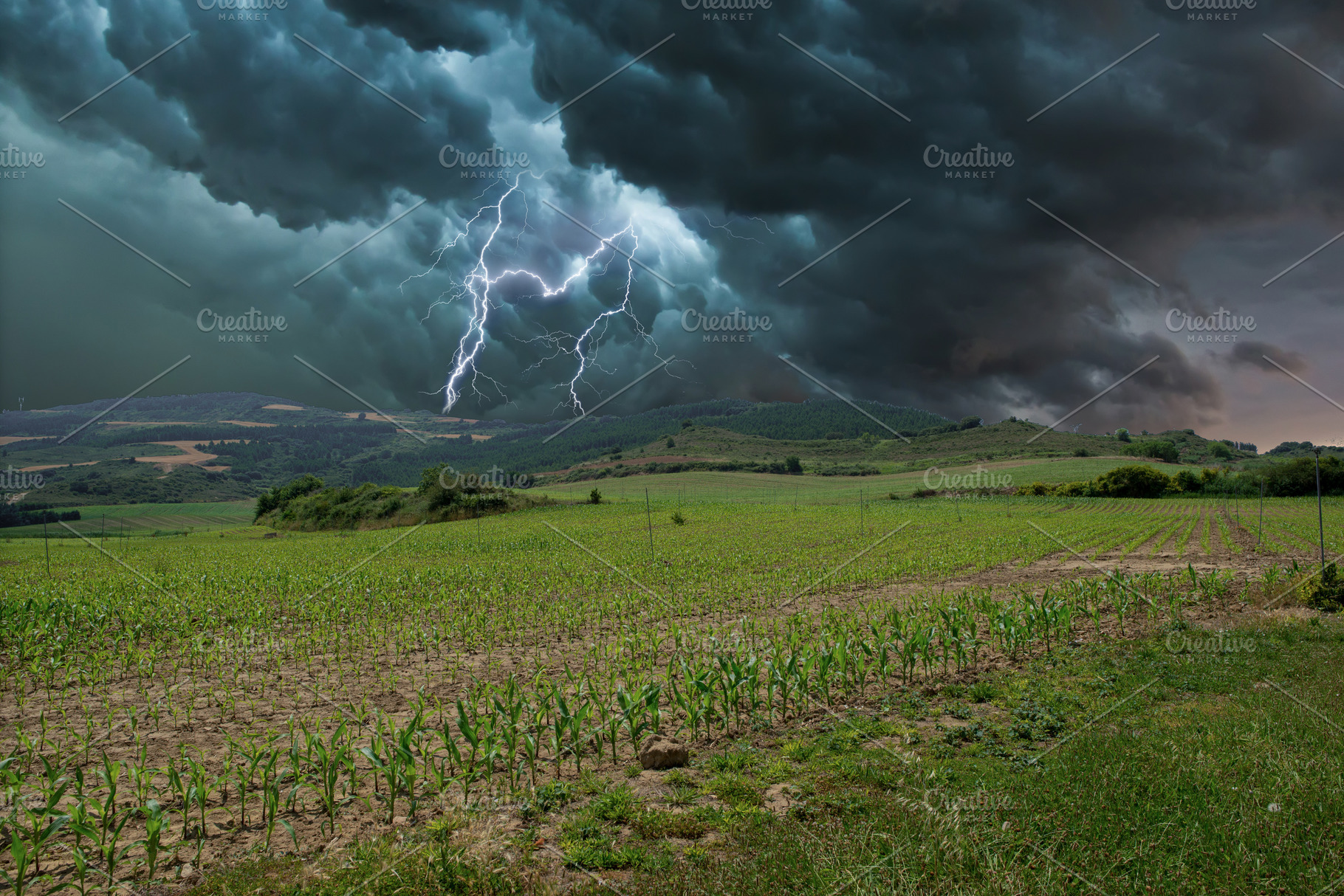 Electric storm with rays in the fiel, a Background Photo by Vicente Soler