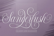 Shintosa Script, a Script Font by Picatype Studio (Thumbnail 7 of 8)