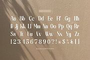 Bling Gilinira | Display Serif Font, a Serif Font by Denustudios (Thumbnail 13 of 15)