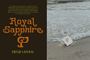 Monizo Display Serif, a Serif Font by madeDeduk (Thumbnail 5 of 8)