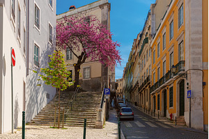Spring Street Scene in Lisbon, an Architecture Photo by kavalenkava