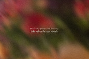 Floral Echoes - Blurry Backgrounds, a Background Graphic by Dina Mae (Thumbnail 11 of 14)