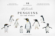 Watercolor penguins. Winter animals, an Animal Illustration by Diana Askarova Art (Thumbnail 1 of 6)