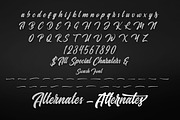 The Hometown Script, a Script Font by TVartworks (Thumbnail 7 of 7)
