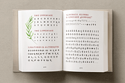 Esther Handmade, a Serif Font by Hederae Type Foundry (Thumbnail 5 of 6)