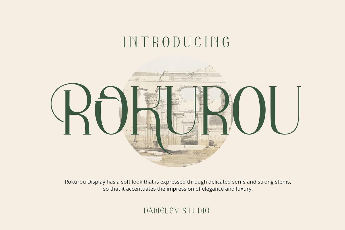 Rokurou Display, a Serif Font by Damelev (Photo 1 of 10)