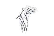 Roar and Palms tiger illustration, an Animal Illustration by Anastasy_helter (Thumbnail 2 of 3)