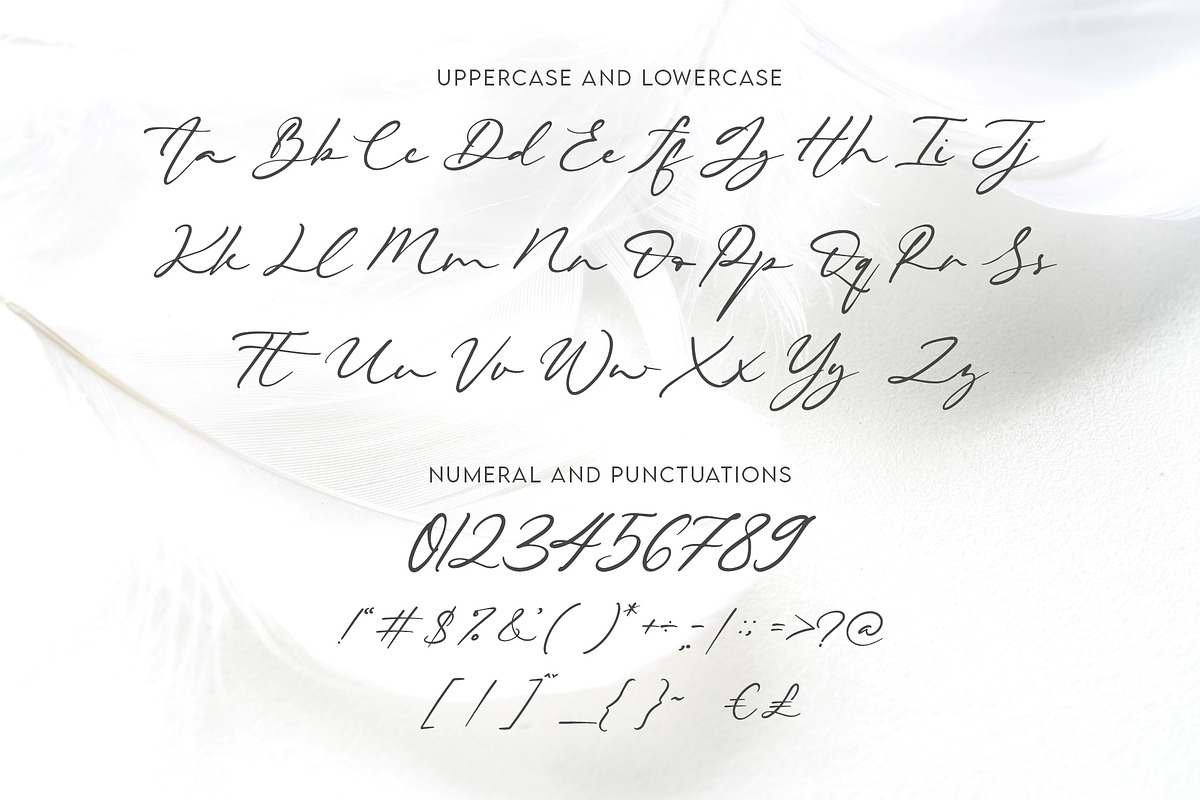 Beautiella - Casual Signature Script, a Script Font by Almarkhatype (Photo 8 of 10)