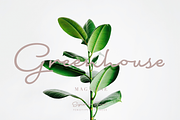 Signature Script Intro Sale, a Script Font by Fenotype (Thumbnail 3 of 12)