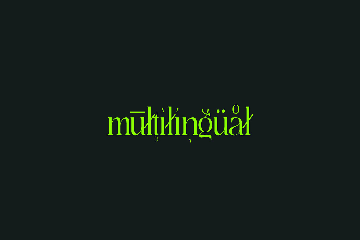 Replica - Elegant & Modern Serif, a Serif Font by subkulturetype (Photo 11 of 11)