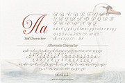Silken Luxe - Classy Cursive Script, a Script Font by Bale Type (Thumbnail 9 of 9)
