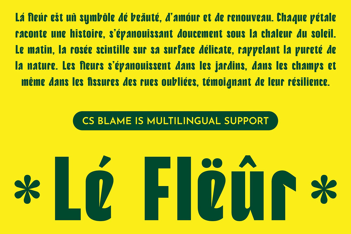 CS Blame – Bold Font, a Sans Serif Font by Craft Supply Co. (Photo 5 of 8)